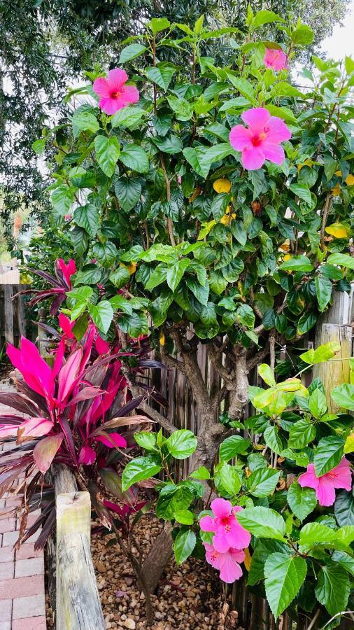 Casa Flamingo Villa Cape Canaveral Luaran gambar
